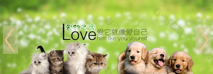 hhpoker俱乐部客服推荐