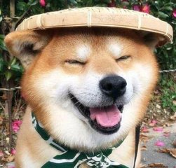 德扑圈官方客服