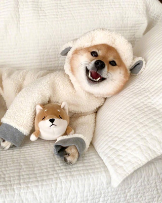 hhpoker德扑线上客服