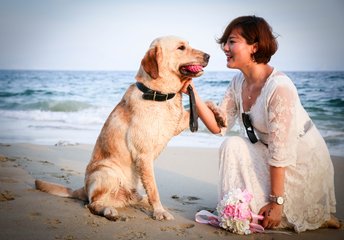 德扑圈iOS安卓下载