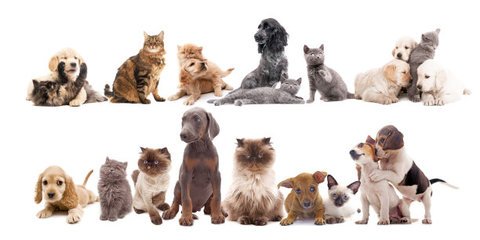 hhpoker德扑线上客服