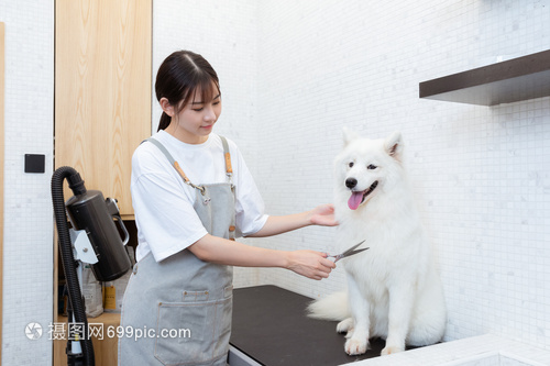 德扑圈人工客服微信