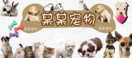 hhpoker俱乐部客服推荐