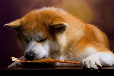 hhpoker德扑线上客服