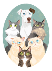 德扑圈俱乐部推荐