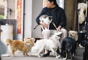 德扑圈客服微信