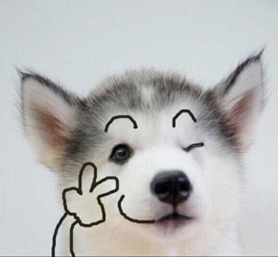 德扑圈iOS安卓下载