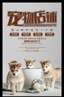 真人德扑圈俱乐部客服推荐