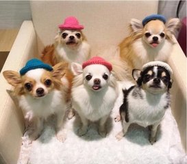 德扑圈俱乐部推荐